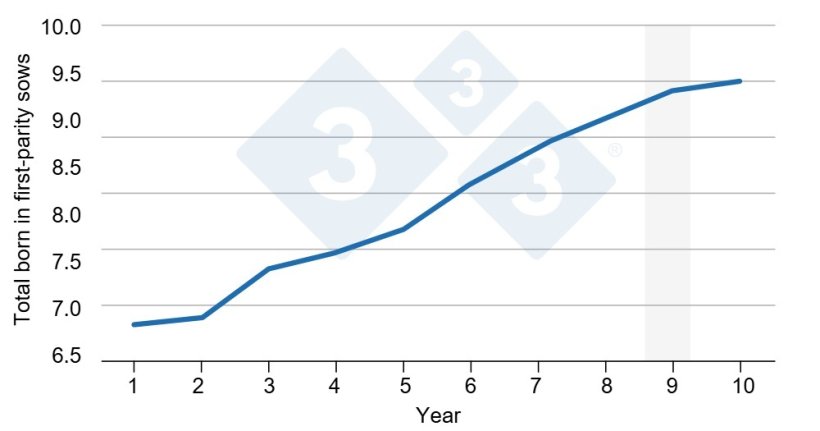 Figure 2. Trend in total born for first-parity sows. Average trend in total born for first-parity&nbsp;sows over 10 years. Actual data from a pool of two multiplier farms, representing approximately 3,000 Iberian sows. The gray shading indicates when new lactation survival traits would be included.