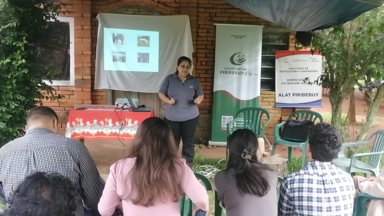 Paraguay: Asistencia técnica fortalece producción porcina en Cordillera — Illustration 1