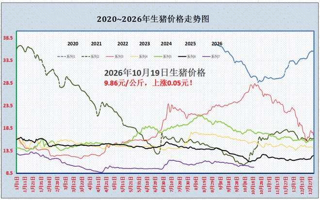2026年10月19日养猪业重要信息汇总

 2连涨！猪价骤然“升温”，新一轮“猛烈”上涨来了？

 枯木逢春，猪价“翘尾”翻红！接下来“补偿”性上涨？

 增量不增收！上市猪企三季报透视：产能去化冲刺，四季度行情等待传导

 千亿冻肉供应链深度解析：底层架构、现实瓶颈与产业演进方向

 仔猪深度破位，成本线失守！猪周期底部，为何价跌却无补栏动力 — 插图 1