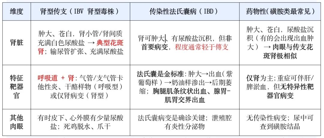 Article illustration — Illustration 2