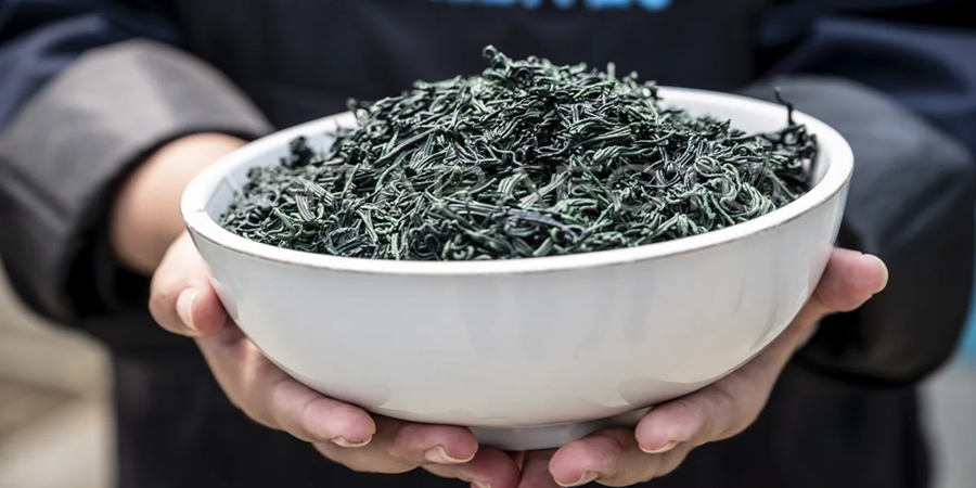 Indonesia's BRIN promotes spirulina as functional feed ingredient for sustainable aquaculture