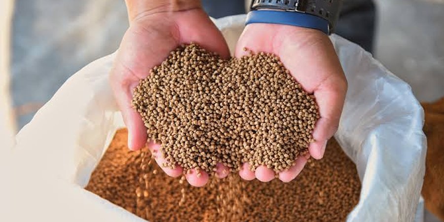 BioMar launches BioRetain formulation concept to lift nutrient retention in aquafeed
