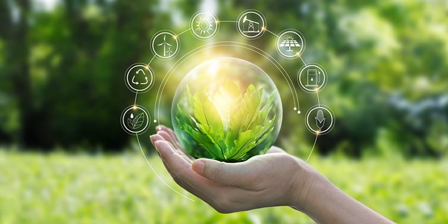 Insect protein, dairy and poultry innovators among DLG Women in Ag Award 2026 winners