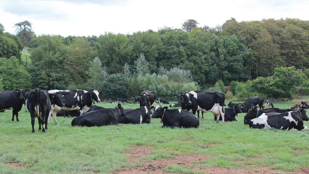 How focus on profit a litre drives dairy’s performance — Illustration 4