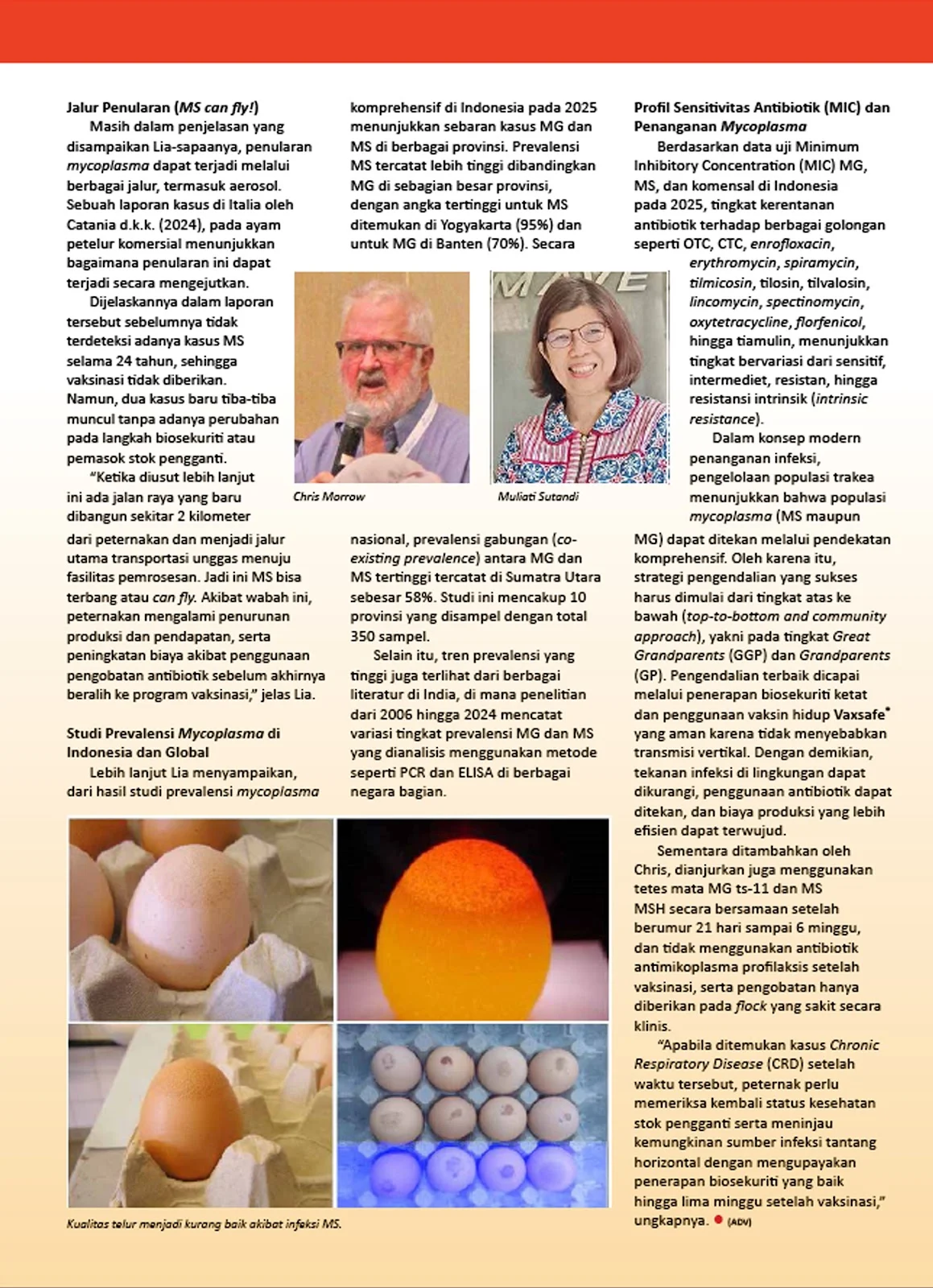 At ILDEX INDONESIA 2026, ROMINDO HOLDS A SEMINAR EXPLORING THE CHARACTERISTICS AND MANAGEMENT OF MYCOPLASMA IN POULTRY — Illustration 2