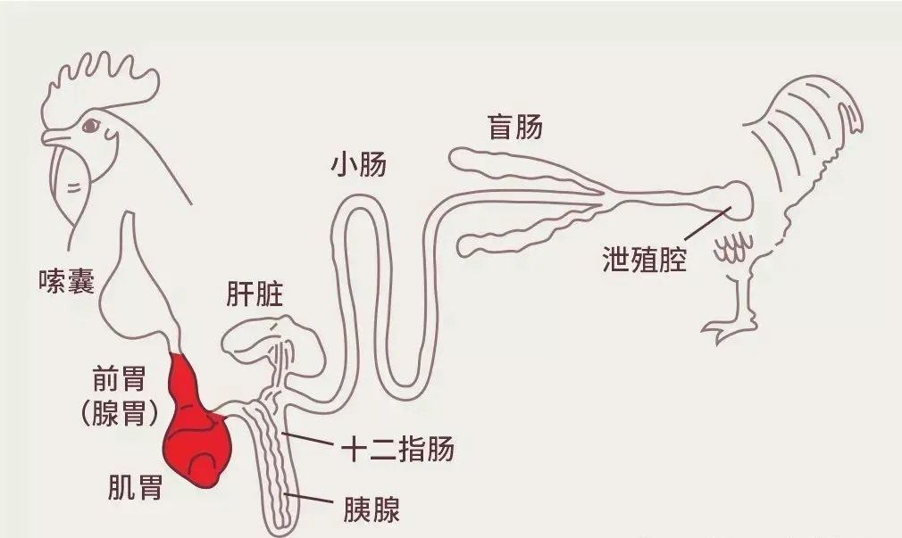 文章插图 — 插图 1