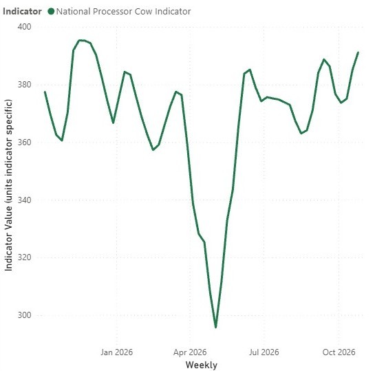 News
Why have export grinding meat prices softened this year? — Illustration 2