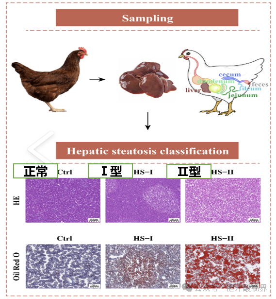 Article illustration — Illustration 2