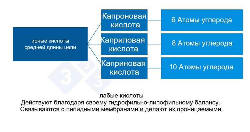 Рисунок 2. Среднецепочечные органические кислоты.
