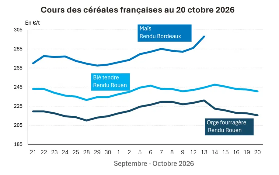 Marché des céréales du 20 octobre 2026 - Le maïs européen fait cavalier seul à la hausse — Illustration 1
