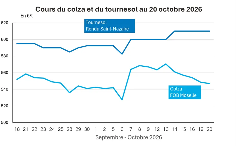Marché des oléagineux du 20 octobre 2026 – L’abondance de l’offre pèse sur les marchés — Illustration 1