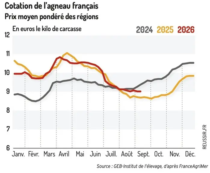 Cotation des agneaux français
La cotation française d'agneaux dans son creux automnal — Illustration 1