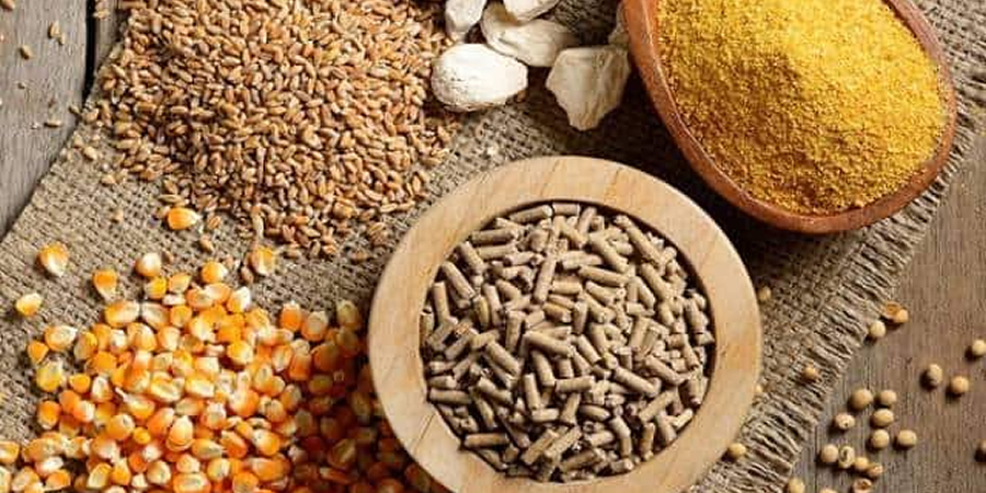 Vietnam's Thien Loc Animal Feed posts 35% volume growth in H1 2026 despite rising raw material costs