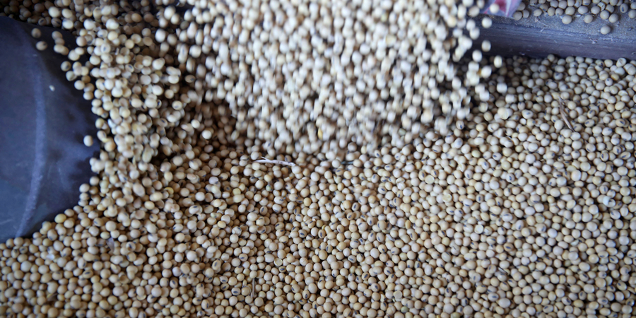 Trouw Nutrition's FeedTechnoVision 2026 urges Asia's feed sector to turn raw material variability into predictable performance