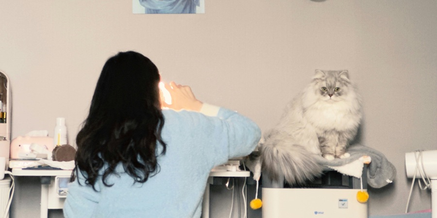 AI use among veterinary professionals more than doubles to 83.7% in two years, survey finds