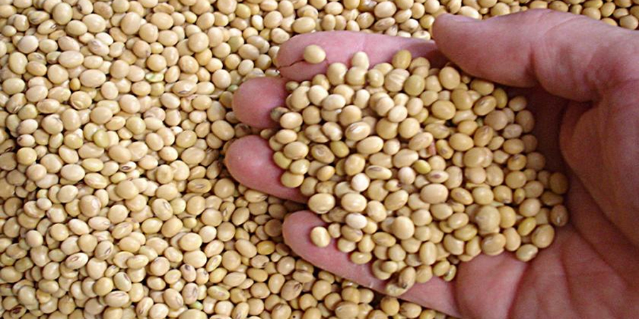 China's US soybean bookings reach 8.98 million tonnes for 2026-27 as 13% tariff keeps private buyers away