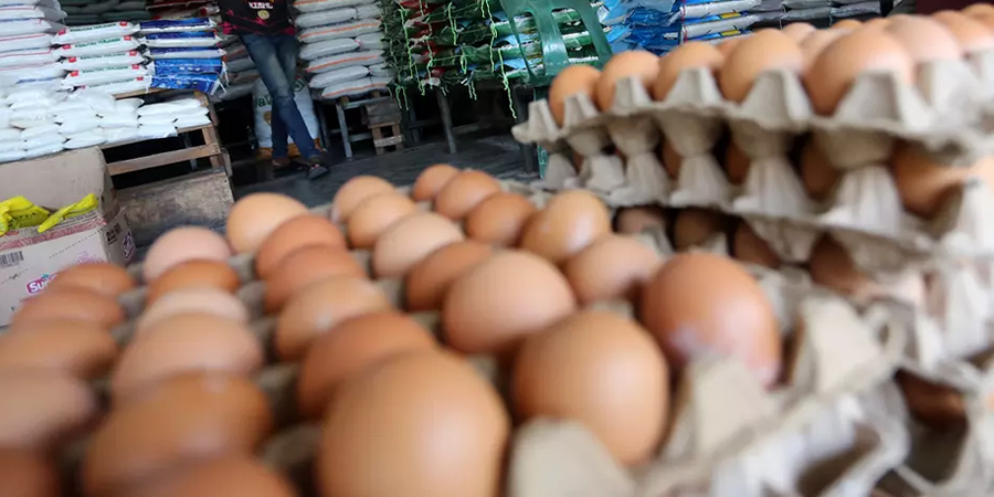 Hong Kong suspends poultry imports from parts of US and Canada over H5N1 bird flu outbreaks