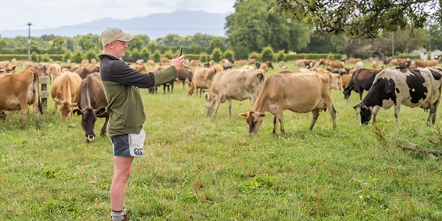 Malaysia's Sarawak targets 25% beef and mutton self-sufficiency by 2030