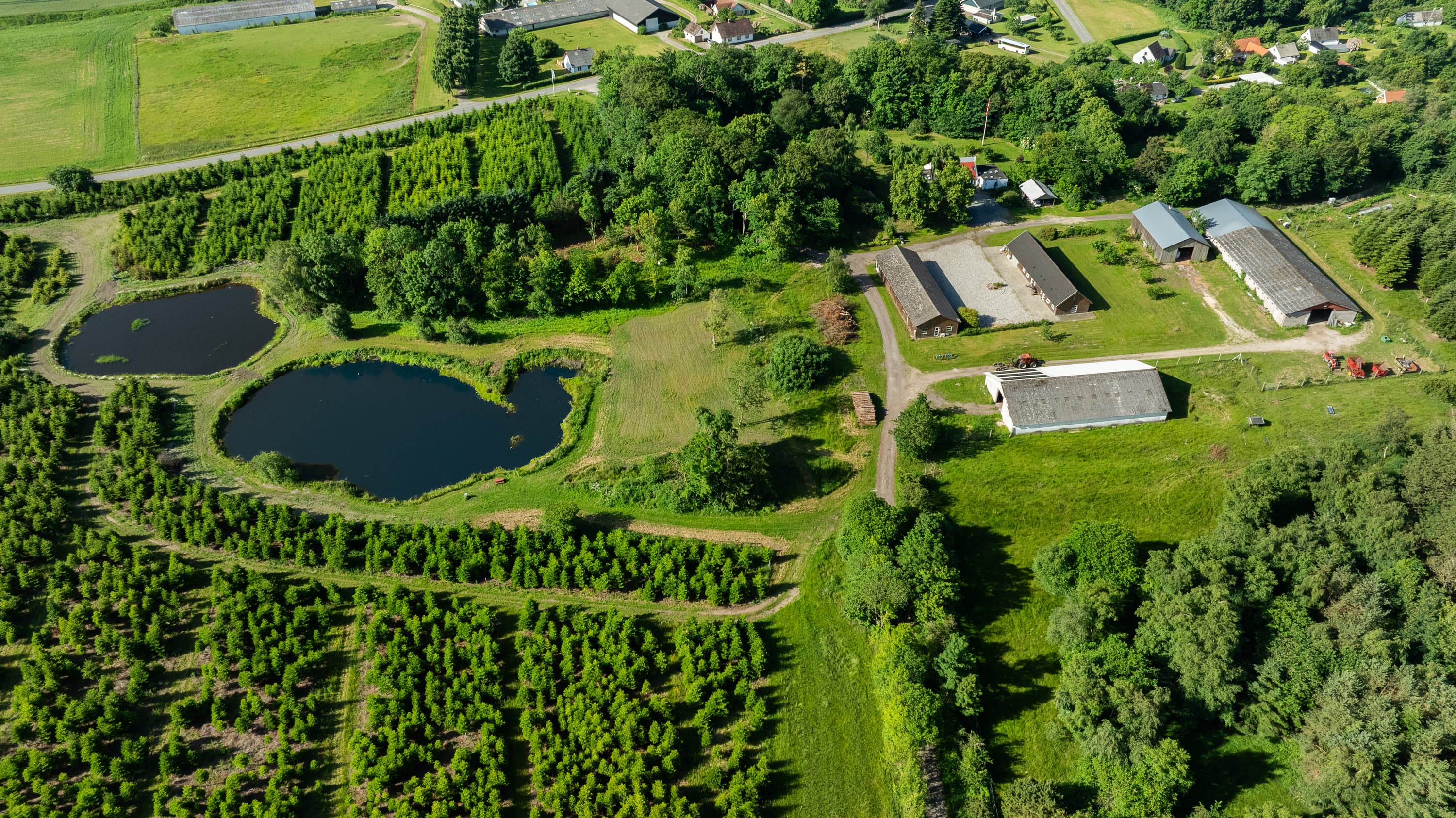 Skov- og naturejendom
