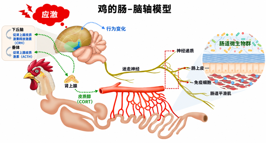 文章插图 — 插图 2