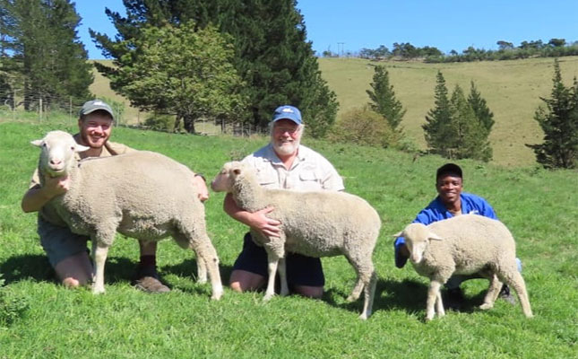 Small stud, tough conditions: Southgate’s approach to Dohne Merino breeding — Illustration 2