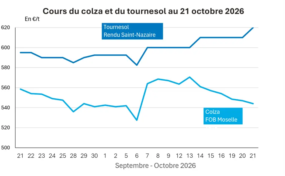 Oilseed market of 21 October 2026 – Soybean prices on the Cbot and rapeseed prices on Euronext fall — Illustration 1