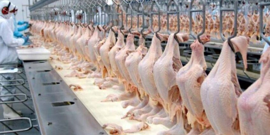 Rabobank lifts 2026 global poultry growth forecast to 3.5%, flags oversupply risks