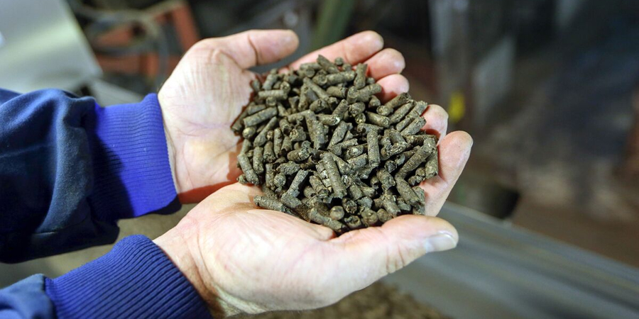 Vietnam feed prices set to rise 3% to 5% as import reliance exceeds 65% of raw materials