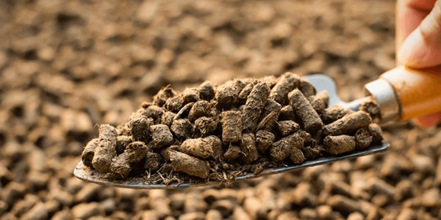 India makes BIS certification mandatory for mineral mixtures, feed-grade DCP and cattle licks