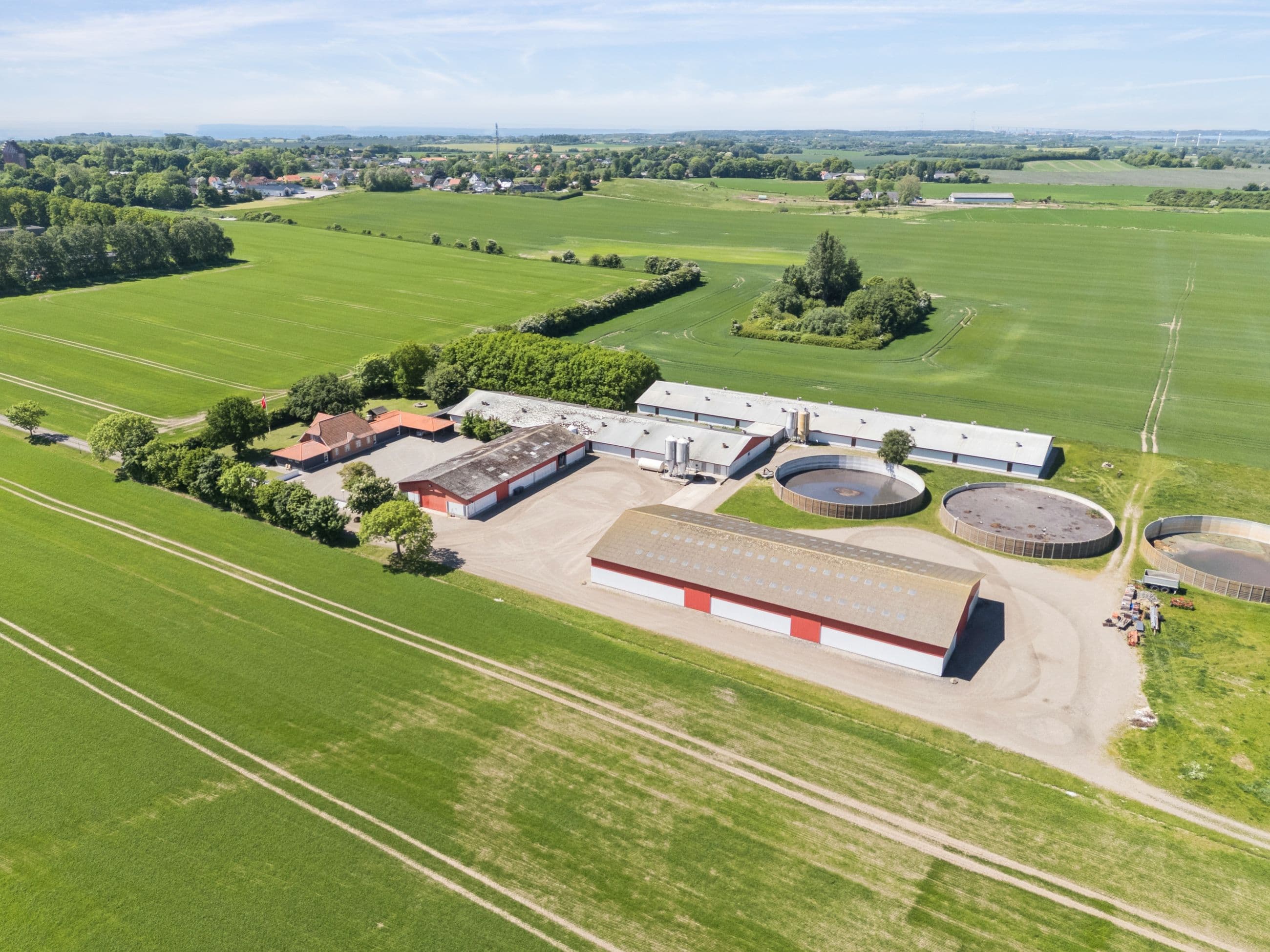 Griseproduktion