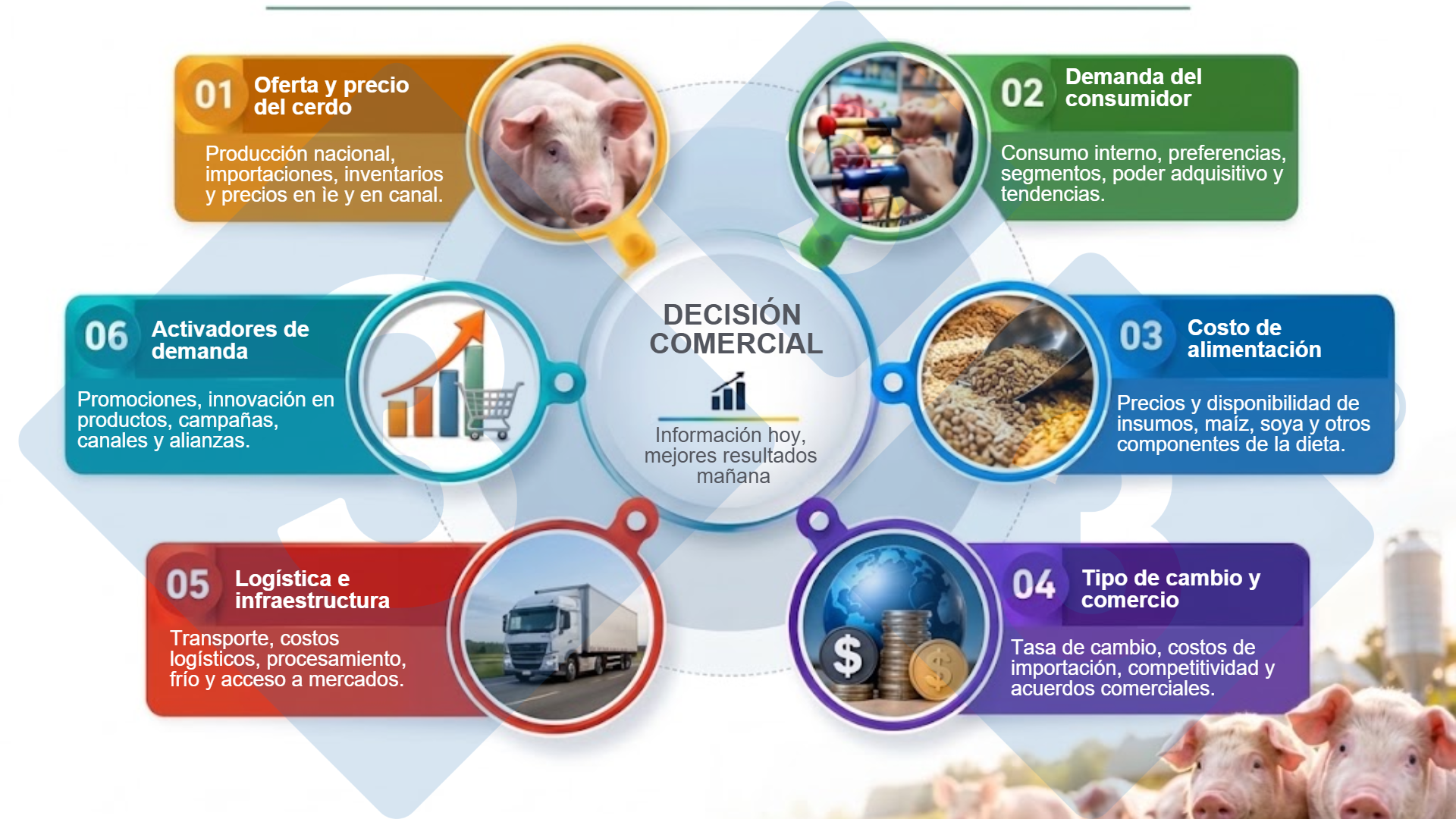 What market factors should a pig farmer analyze in the fourth quarter of the current year? — Illustration 1