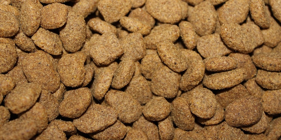 Canada proposes more flexible heat-treatment rules for US pet food imports