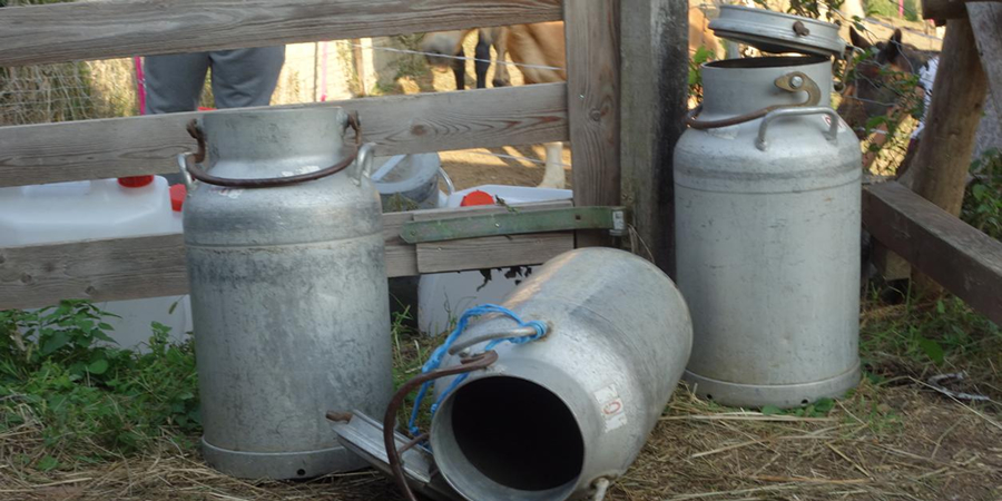Philippine DA clears PHP148 million abattoir and goat milk plant for the Philippines' Davao del Sur