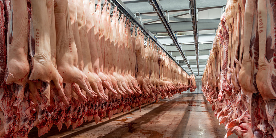 Philippines to freeze pork imports for 60 days from mid-November as hog raisers rally