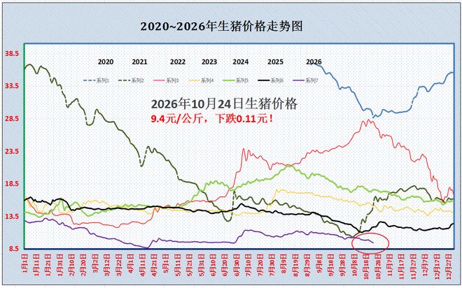 Summary of Important Information for the Pig Farming Industry on 2026 Year 10 Month 24 Day
Prices keep falling! Pig prices have dropped by more than 15%; where is the “floor” from here?
No stopping them! Pig prices are falling “retaliatorily”; will they hit a “new low” next? — Illustration 1