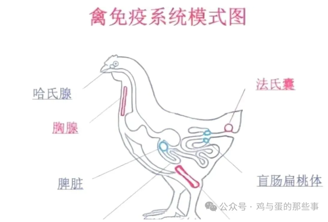 文章插图 — 插图 1