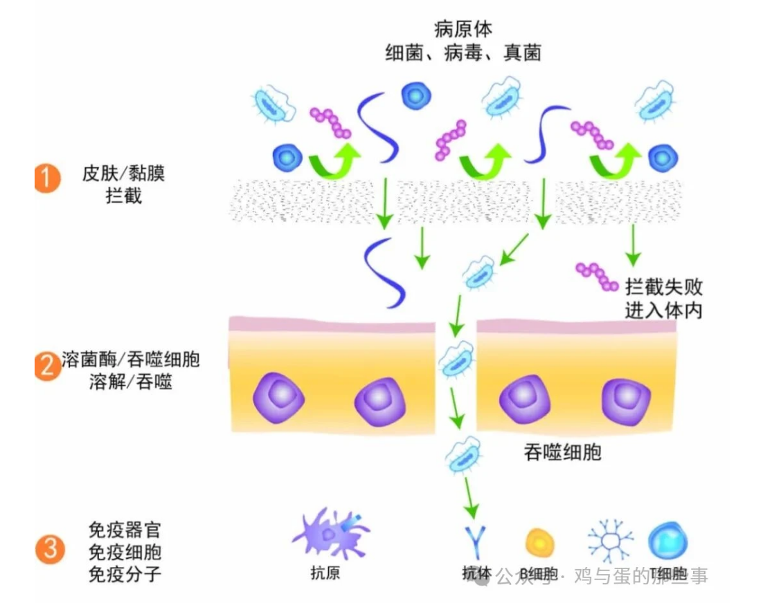 文章插图 — 插图 2