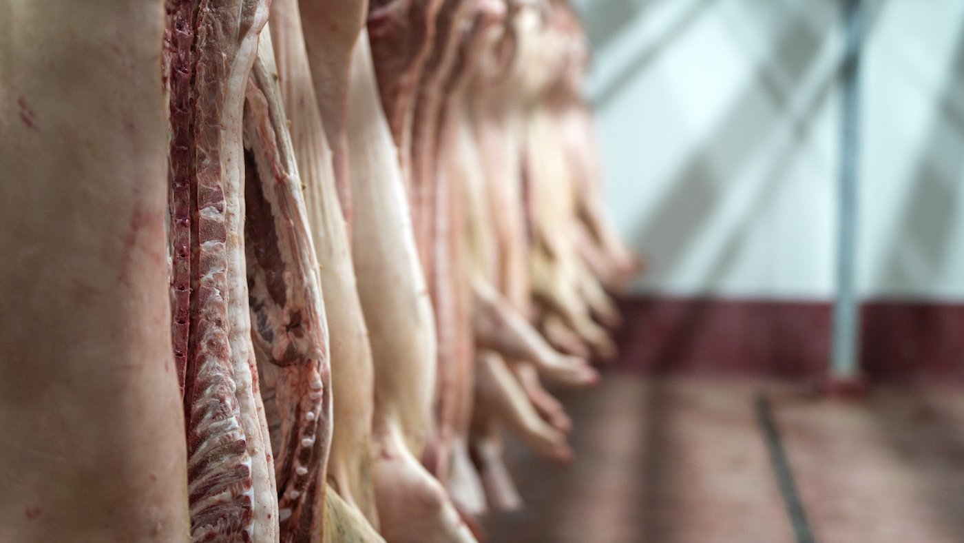 Filipinas: abre investigação de salvaguarda sobre importações de carne de porco — Illustration 1
