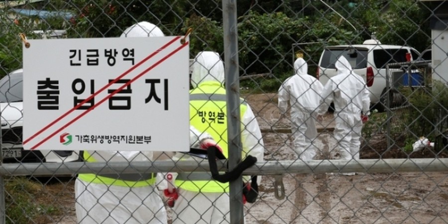 South Korea proposes shrinking African swine fever control zone to 3km from 10km