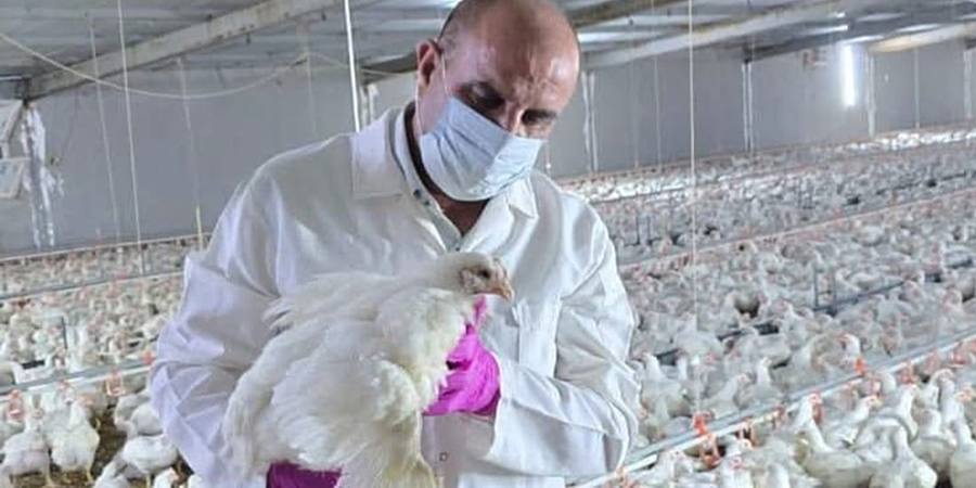 South Korea raises bird flu alert to highest level after first HPAI detection of winter at Suncheon Bay