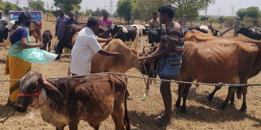 Dairy farmers in Nepal's Dang district say milk pricing chain leaves them short-changed