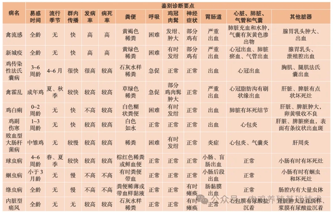 文章插图 — 插图 2