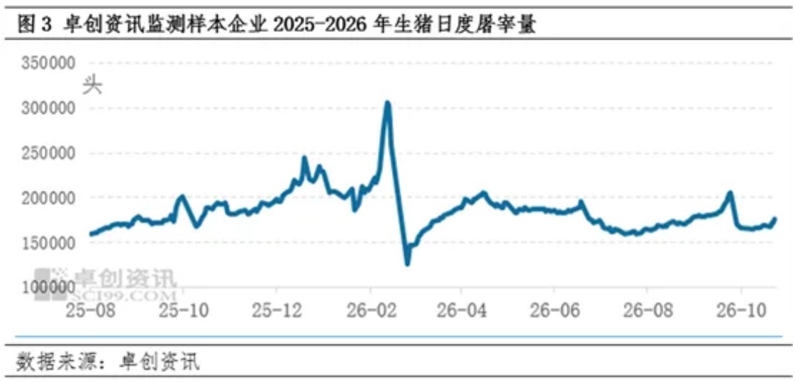 2026年10月28日养猪业重要信息汇总

 跌猛了！猪价“滑坡”下跌，下跌逻辑找到！“地板线”是多少？

 跌跌跌！猪价下跌“跌猛了”，季节性上涨“拐点”落空？

 三季度猪价低位磨底 四季度价格依旧难涨

 银十旺季证伪，生猪现货深度磨底：产能效率抬升放大供给弹性，月末仅存边际博弈机会 — 插图 5