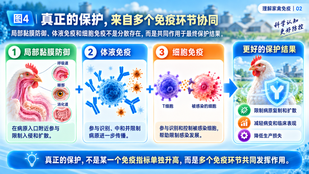 文章插图 — 插图 5