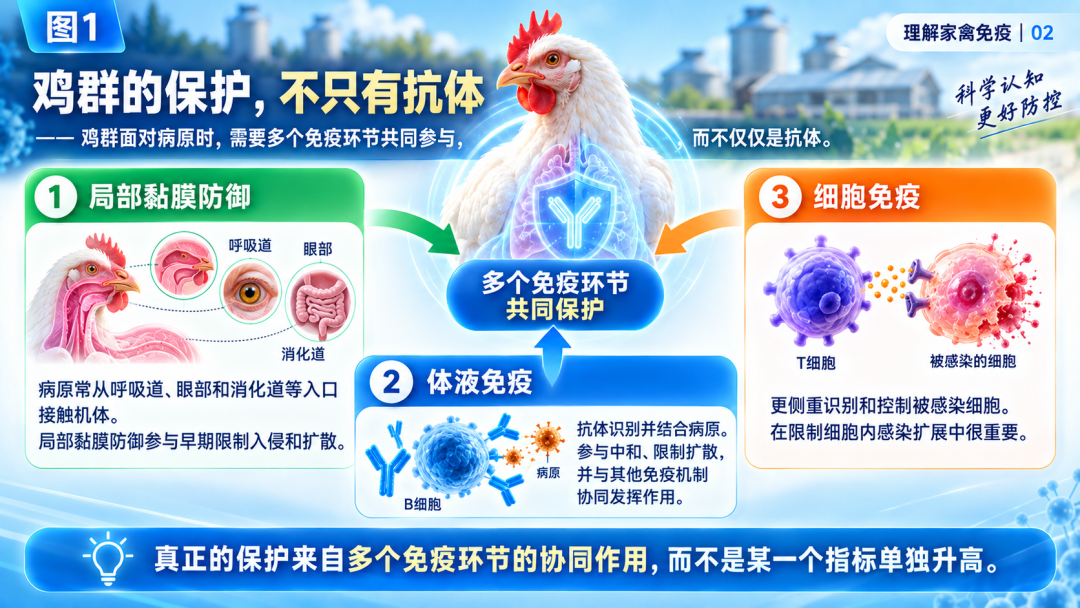 文章插图 — 插图 2