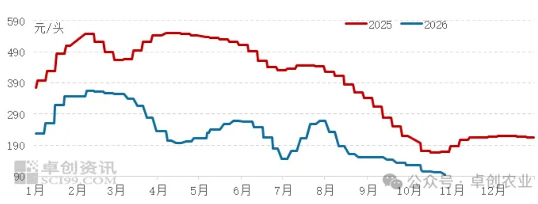 Summary of Important Information in the Pig Farming Industry on 2026/10/30

 Pig prices plunge, with the average approaching 4.5 yuan/jin. Could a turnaround be just around the corner?

 A sharp drop! Pig prices are falling “out of control”—can even the “Second Senior Brother” not hold at 9 yuan/kg?

 Piglet prices have fallen to a recent-years low; a slight rise may occur at year-end

 Regional production capacity is diverging, and the hog circulation landscape is being reshaped — Illustration 3