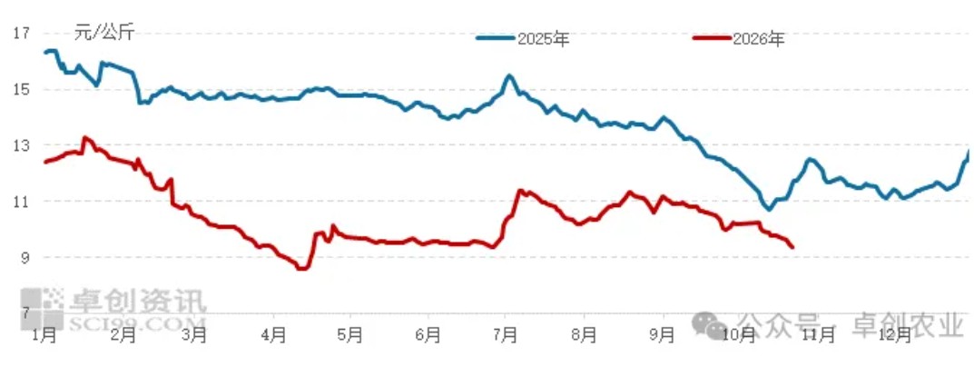 Summary of Important Information in the Pig Farming Industry on 2026/10/30

 Pig prices plunge, with the average approaching 4.5 yuan/jin. Could a turnaround be just around the corner?

 A sharp drop! Pig prices are falling “out of control”—can even the “Second Senior Brother” not hold at 9 yuan/kg?

 Piglet prices have fallen to a recent-years low; a slight rise may occur at year-end

 Regional production capacity is diverging, and the hog circulation landscape is being reshaped — Illustration 4